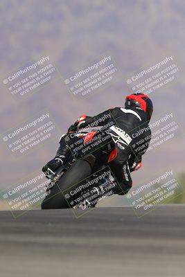 media/Nov-12-2023-SoCal Trackdays (Sun) [[5d1fba4e7d]]/Turn 9 Backside (1015am)/